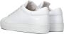 Nubikk Iconische Leren Sneaker met Gouden Oogjes White Dames - Thumbnail 6