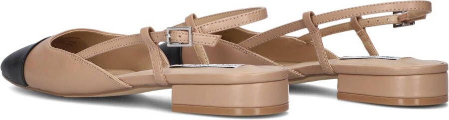 STEVE MADDEN Bruine Hakken Belinda