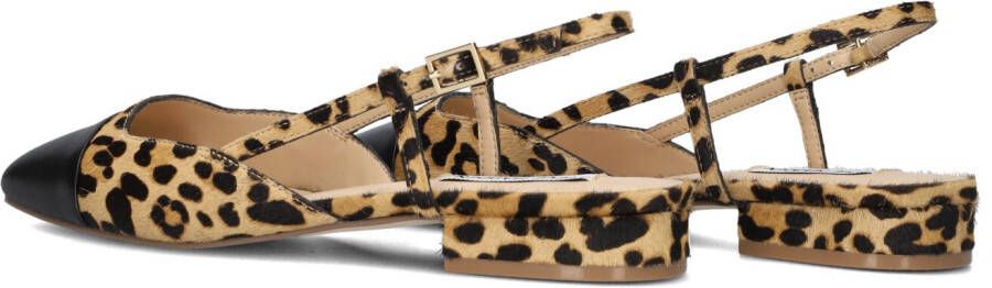 STEVE MADDEN Zwarte Hakken Belinda-l