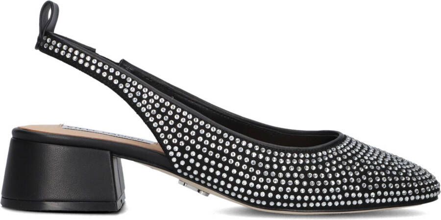 Steve Madden Smitten Hakken Dames Zwart