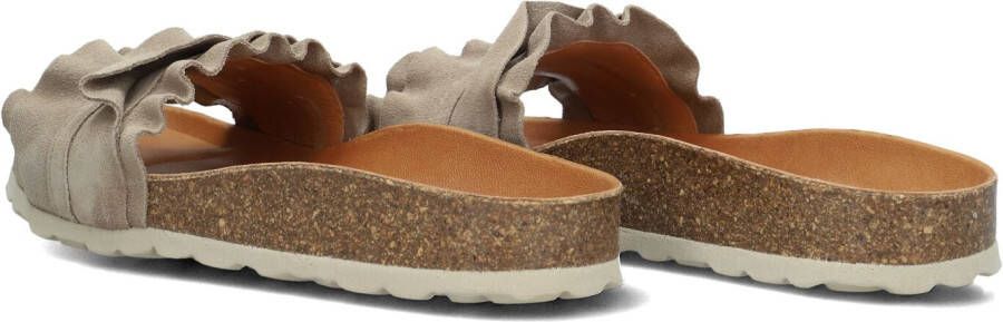 VERBENAS Bruine Slippers Rocio