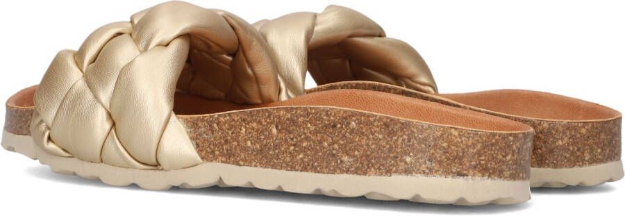 VERBENAS Gouden Slippers Rai