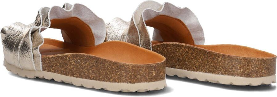 VERBENAS Gouden Slippers Rocio