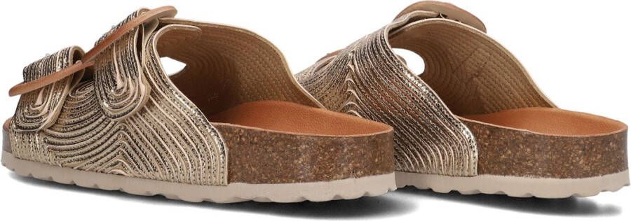 VERBENAS Gouden Slippers Ruth