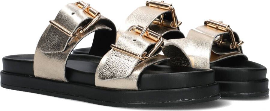 LINA LOCCHI Slippers Dames Led 2 Band Slipper Dz Maat: 36 Materiaal: Leer Kleur: Goud