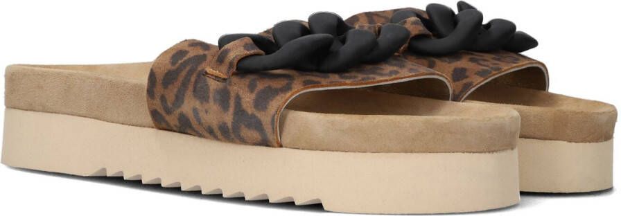 Maruti Panterprint Slipper Beli Brown Dames