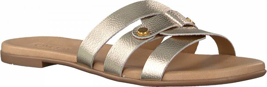 Muf smal Mysterieus Omoda Dames Slippers 179854 Goud - Schoenen.nl