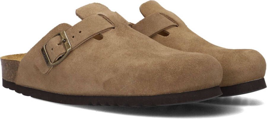 SCHOLL Taupe Clogs Fae