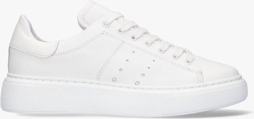 Tango | Alex 2-h white leather sneaker white sole