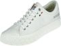 Palladium Canvas Vulcanized Rubber Sneakers White - Thumbnail 5