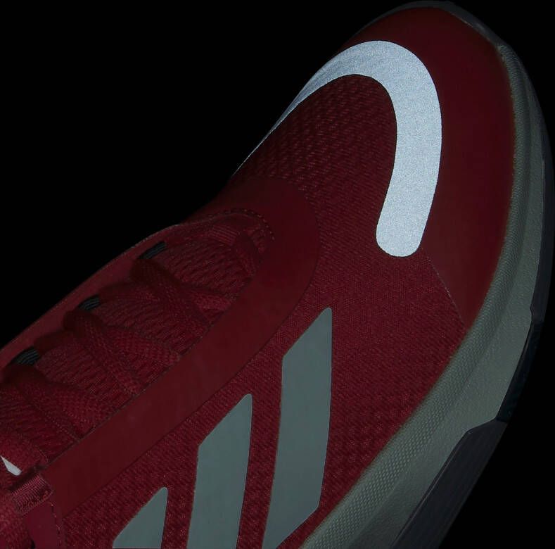 adidas Performance Basketbalschoenen BOUNCE LEGENDS