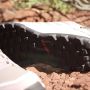 Adidas TERREX Tracerocker 2.0 GORE-TEX Trail Running Schoenen Dames Paars - Thumbnail 16