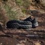 Adidas TERREX Runningschoenen TERREX SOULSTRIDE FLOW GORE-TEX TRAILRUNNING - Thumbnail 13