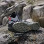 Adidas TERREX Wandelschoenen TERREX SWIFT R2 MID GORE-TEX - Thumbnail 16