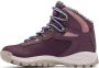 Columbia Women's Newton Ridge WP Omni-Heat II Winterschoenen purper - Thumbnail 4