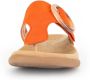 Gabor Dianets sleehak zomerschoen teenslipper met best fitting-uitrusting - Thumbnail 5