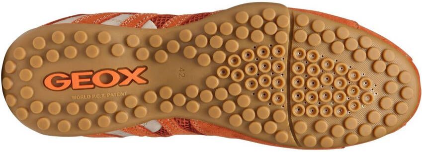 Geox Sneakers U SNAKE ORIGINAL veterschoen vrijetijdsschoen trekking sneaker met leren binnenzool