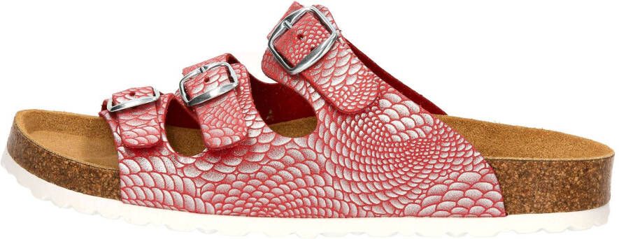 Lico Slippers Bioline Snake