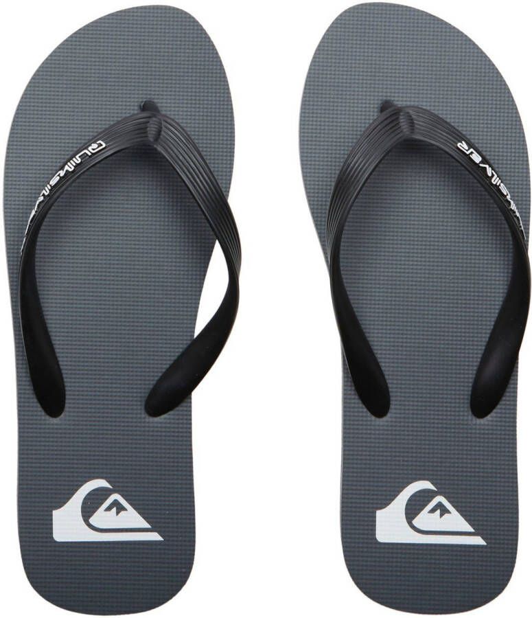 Quiksilver Teenslippers Molokai Core