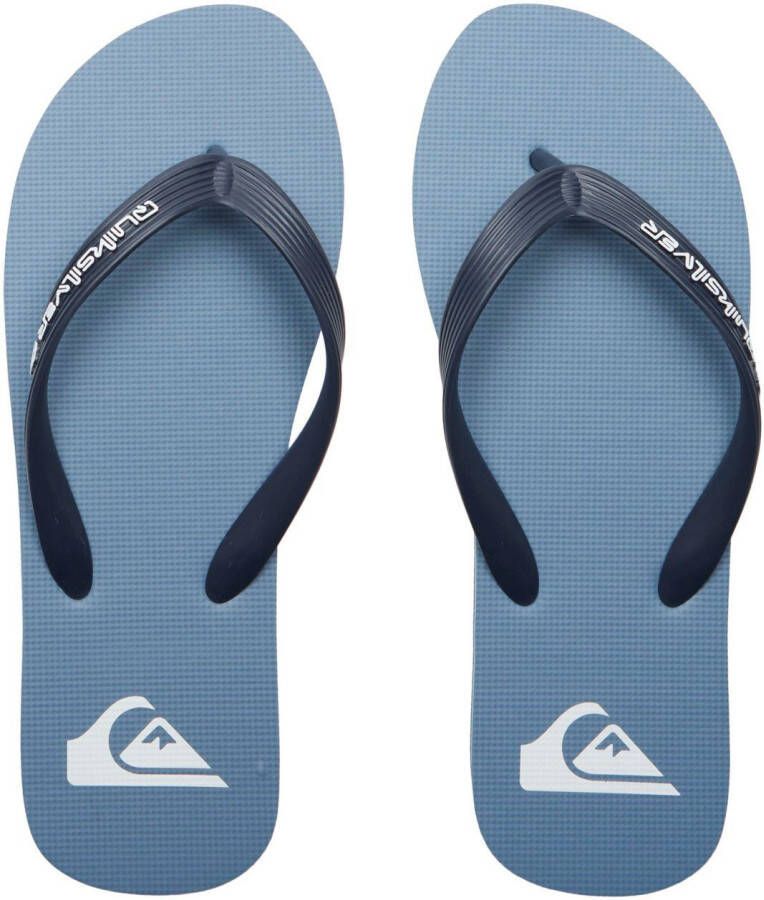 Quiksilver Teenslippers Molokai Core