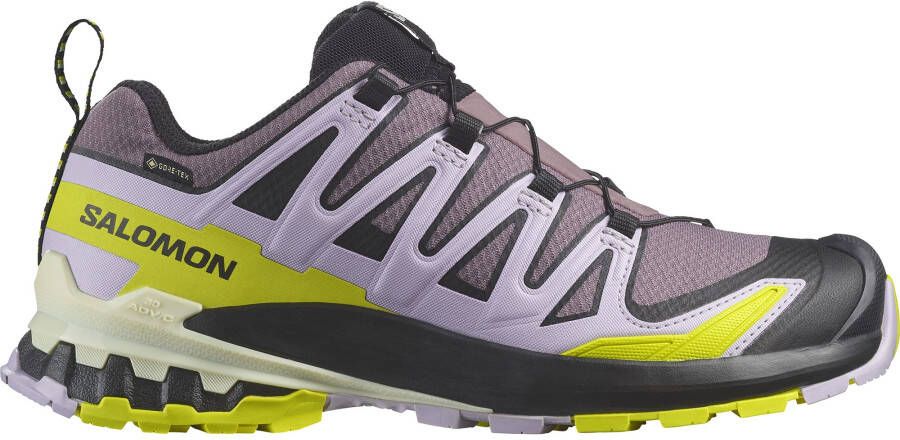 Salomon Runningschoenen XA PRO 3D V9 GORE-TEX