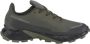 Salomon Alphacross 5 GTX GORE-TEX Heren Trail-Running Schoenen Hardloopschoenen Groen - Thumbnail 3