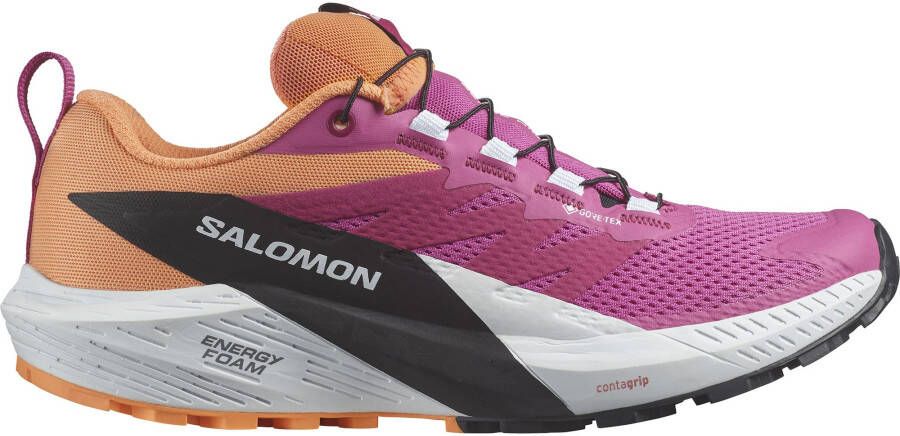 Salomon Trailrunningschoenen SENSE RIDE 5 GORE-TEX