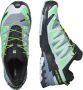 Salomon XA Pro 3D V9 Multisportschoenen grijs - Thumbnail 3