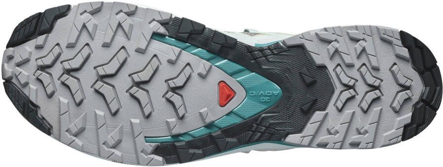 Salomon Trailrunningschoenen XA PRO 3D V9