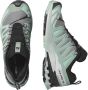 Salomon Women's XA Pro 3D V9 GTX Multisportschoenen grijs - Thumbnail 4