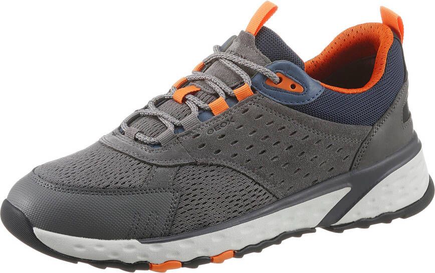 Geox Sneakers U STERRATO