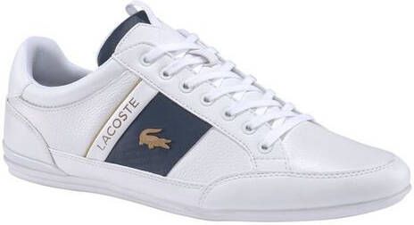 lacoste trainers with velcro fastening