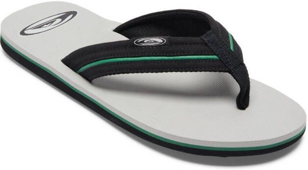 Quiksilver Molokai Layback Saturn Sandalen grijs