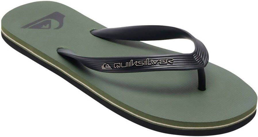 Quiksilver Teenslippers Molokai Core