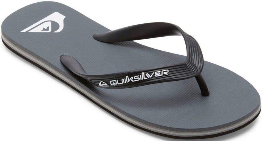 Quiksilver Teenslippers Molokai Core