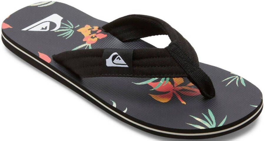 Quiksilver Teenslippers MOLOKAI LAYBACK SNDL