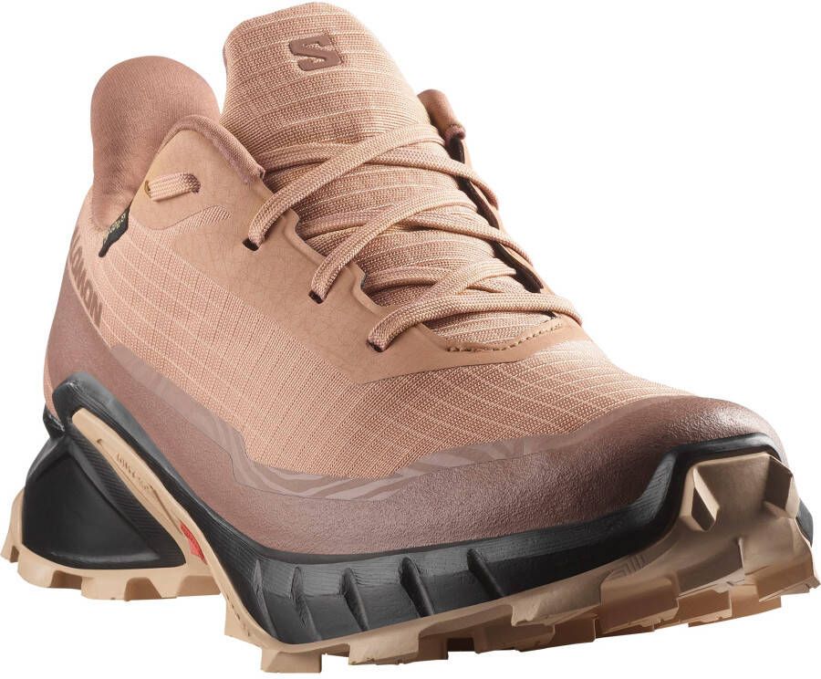 Salomon Runningschoenen ALPHACROSS 5 GORE-TEX