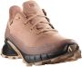 Salomon Runningschoenen ALPHACROSS 5 GORE-TEX - Thumbnail 1