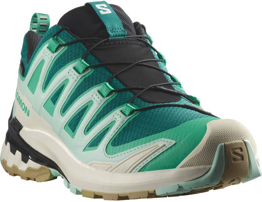 Salomon Runningschoenen XA PRO 3D V9 GORE-TEX