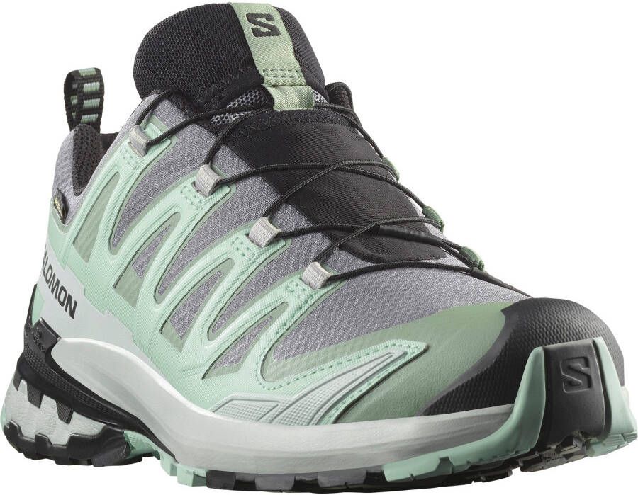 Salomon Women's XA Pro 3D V9 GTX Multisportschoenen grijs