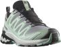 Salomon Women's XA Pro 3D V9 GTX Multisportschoenen grijs - Thumbnail 2