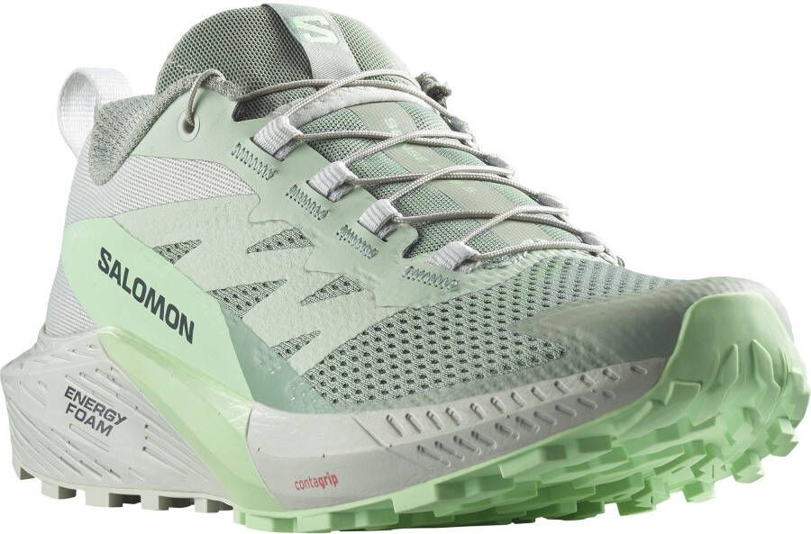 Salomon Trailrunningschoenen SENSE RIDE 5 Trailrunning-schoenen