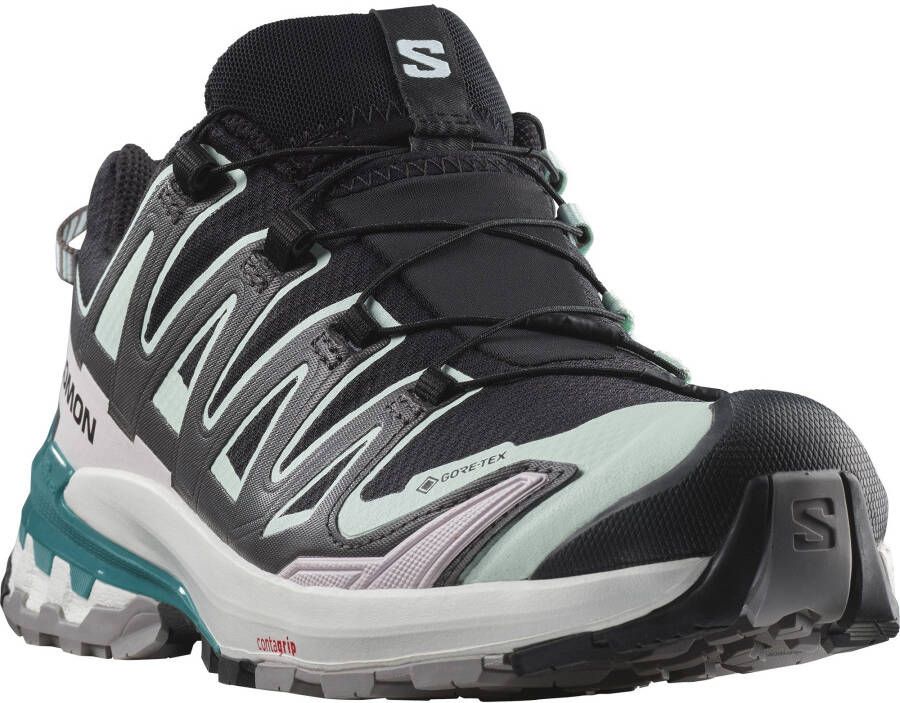 Salomon Trailrunningschoenen XA PRO 3D V9 GORE-TEX