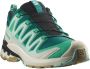 Salomon Women's XA Pro 3D V9 GTX Multisportschoenen meerkleurig - Thumbnail 1