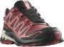 Salomon Women's XA Pro 3D V9 GTX Multisportschoenen bruin - Thumbnail 2