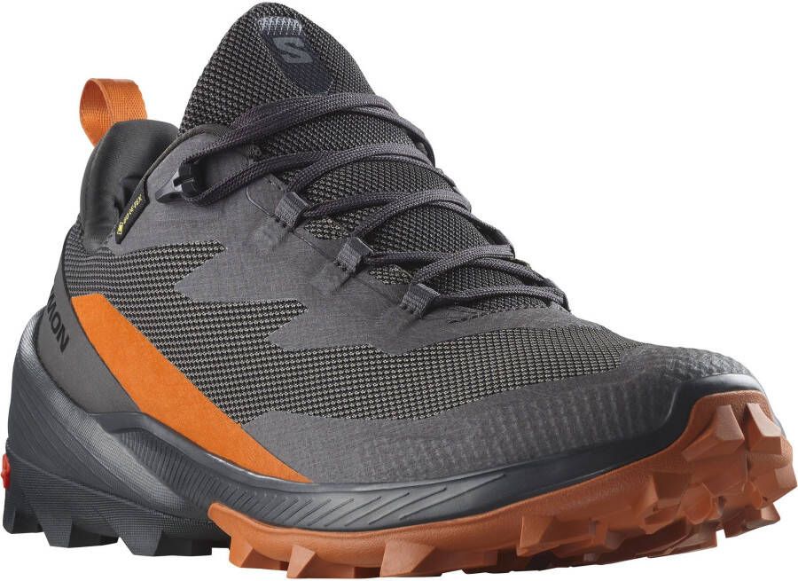 Salomon Cross Over 2 GTX Multisportschoenen grijs