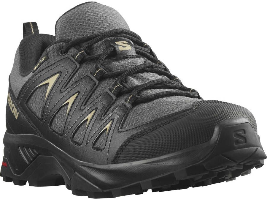 Salomon Wandelschoenen X BRAZE GORE-TEX