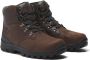 Timberland Winterlaarzen CHILLBERG MID LACE UP WATERPROOF SNOW BOOT Snowboots winterlaarzen winterschoenen waterdicht - Thumbnail 1