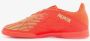 Adidas Performance Predator Edge.4 IN Jr. zaalvoetbalschoenen oranje limegroen zwart - Thumbnail 9