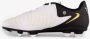 Nike Phantom GX II Club FG MG Voetbalschoenen Junior - Thumbnail 7